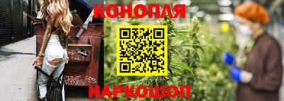 эйфоретик Гай