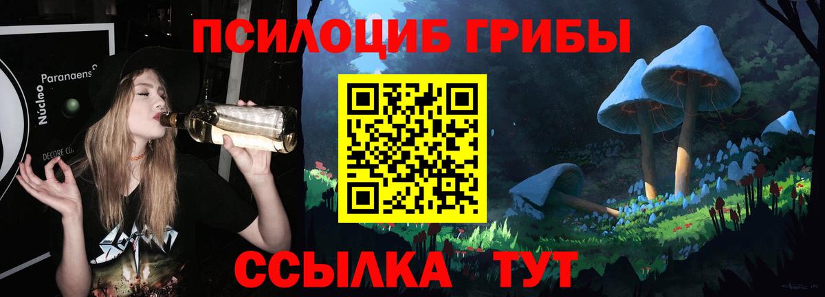 Псилоцибиновые грибы Cubensis Мытищи